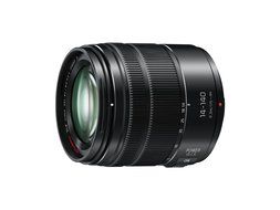 Panasonic LUMIX 16.05MP Mirrorless Camera (Body Only) with Leica 100-400mm Lens &amp; 128GB Memory Card Bundle N8
