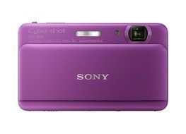 Sony Cyber-shot DSC-TX55 16.2 MP Slim Digital Camera with 5x Optical Zoom and 3.3-Inch OLED touch screen (Silver) N9