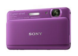 Sony Cyber-shot DSC-TX55 16.2 MP Slim Digital Camera with 5x Optical Zoom and 3.3-Inch OLED touch screen (Silver) N10