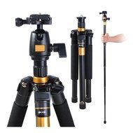 Adjustable Pro 60" Tripod Monopod w Ball Head Pocket DSLR Camera Travel Aluminum N2
