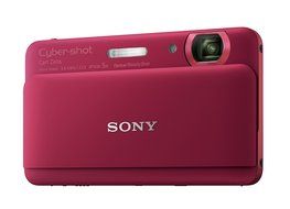 Sony Cyber-shot DSC-TX55 16.2 MP Slim Digital Camera with 5x Optical Zoom and 3.3-Inch OLED touch screen (Silver) N11