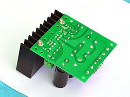 Electronics-Salon Mono 25W Audio Amplifier Module Board, Based on LM1875. N2