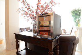 NewAir CC-100 250 Count Cigar Cooler N4