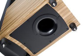 MartinLogan Theos ESL Hybrid Electrostatic Loudspeaker (Black Ash)