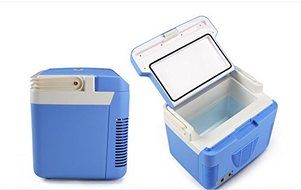 Generic 12V Cooler/Warmer - 10L Capacity Blue and White Portable Mini Semiconductor Refrigerator for Car N2