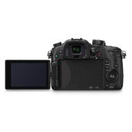 Panasonic LUMIX 16.05MP Mirrorless Camera (Body Only) with Leica 100-400mm Lens &amp; 128GB Memory Card Bundle N17
