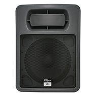 Peavey PR Sub - 15" Heavy-Duty Passive Subwoofer Pair