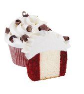 Wilton 2105-0169 Two Tone Cupcake Insert