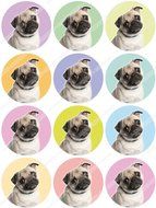 Cakeshop 12 x PRE-CUT Cute Pug Dog Edible Cake Toppers