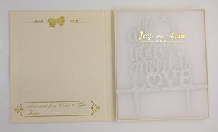 LOVENJOY with Gift Box All You Need is Love Monogram Wedding Engagement Cake Topper Gold Glitter, 6-inch N3