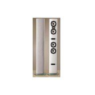 Energy 250 Watt Floor Standing / Wall Mountable 3-Way Bass Reflex Speaker in Black