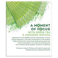 Lipton Green Tea Bags, Matcha Green Tea &amp; Mint 15 ct (Pack of 4) N2