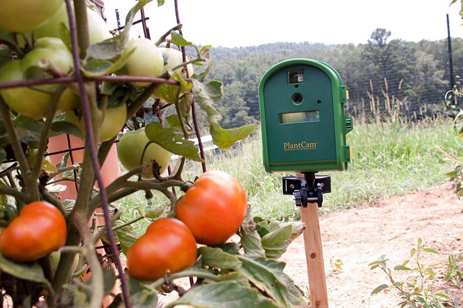 Wingscapes WSCA04 Timelapse Outdoor PlantCam (Discontinued by Manufacturer) N7