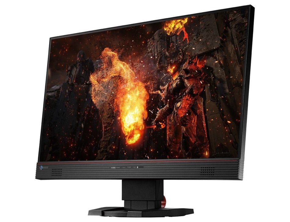EIZO FORIS FS2434-BK 23.8" Screen LED-lit Monitor