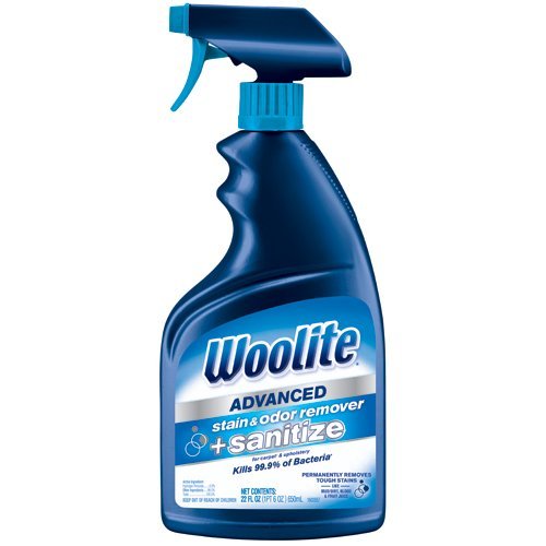 Woolite Advanced Stain & Odor Remover + Sanitize, 22floz