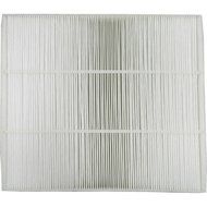 Sharp True HEPA Replacement Filter For FP-A28UW