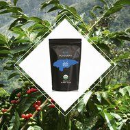 Hunt Brothers Coffee Beans | Blue Honduras Specialty Coffee | Certified Organic | 100% Arabica | 16 Ounce Bag