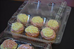 Oasis Supply 24 12-Compartment Cupcake &amp; Muffin Container with Hinged Lid, Clear N5