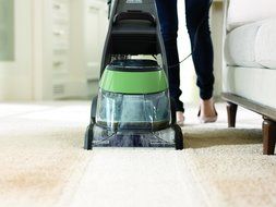 Bissell DeepClean Professional Pet Carpet Cleaner, 17N4P
