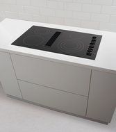 Frigidaire 36" Smoothtop Electric Black Cooktop with Built-In 500 CFM Downdraft Exhaust RC36DE60PB N2