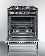 24" Wide Slide-In Gas Range with Stainless Doors &amp; Sealed Burners N2