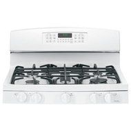 GE JGB850EEFES 30" Slate Gas Sealed Burner Double Oven Range N5