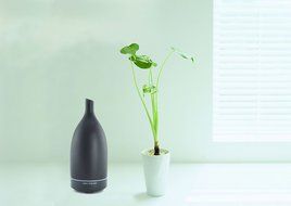 Samyo Ceramic Vase Aromatherapy Essential Oil Purifier Diffuser Air Humidifier (white) N2