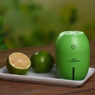 Leewa Portable USB Lemon Air Humidifier for Home and Car (Orange) N3