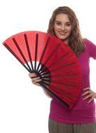 Chinese Nylon-Cloth Fan for Ladies (Black)