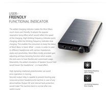 FiiO E12 Mont Blanc Portable Headphone Amplifier with Extreme Audio 3.5mm Stereo to RCA Cable N2