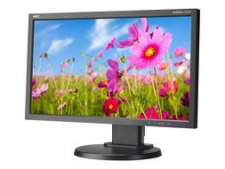 NEC Desktop E203WI-BK 20&quot; Screen LCD Monitor