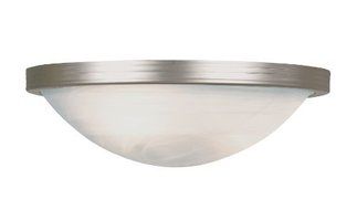 Trans Globe Lighting PL-6213 BN 1-Light Flush-Mount, Brushed Nickel by Trans Globe Lighting