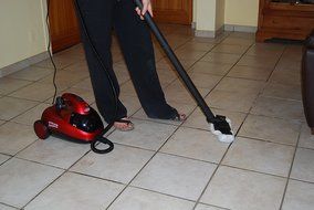 Ewbank SC1000 Steam Dynamo Cleaner for Chemical-Free Cleaning N2