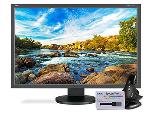 NEC EA EA305WMI-BK-SV 29.8" Screen LED-Lit Monitor