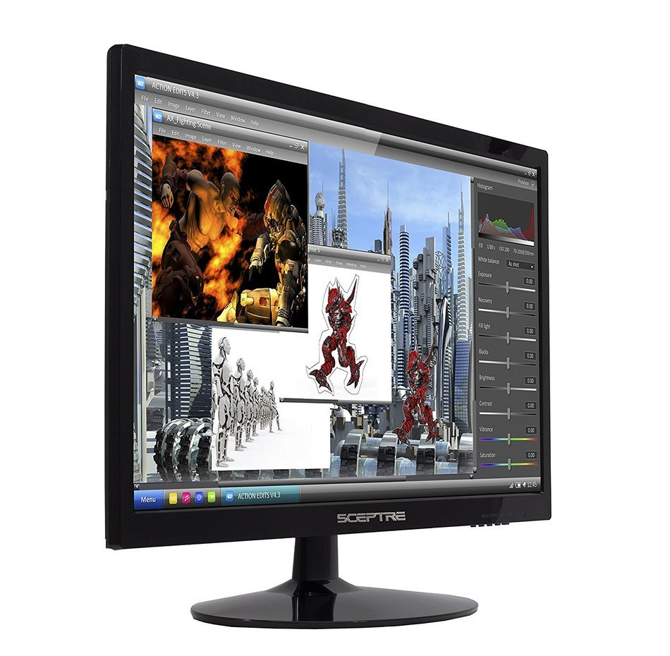 Sceptre E248W-1920 24-Inch Screen LED-Lit Monitor N4
