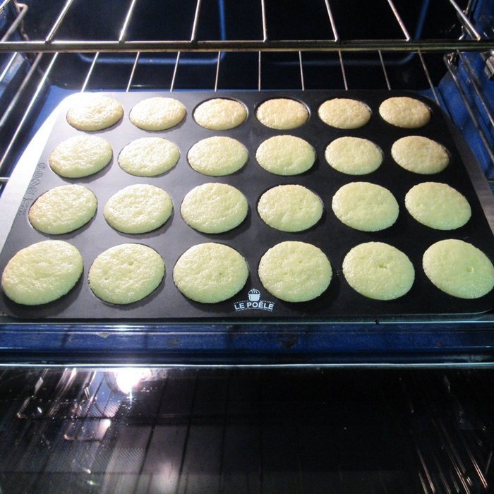 Silicone Cupcake Molds, Le Poele, for Baking, 24 Cups Mini Muffin Pan. BPA Food Grade Silicone, Non-stick, Easy... N5