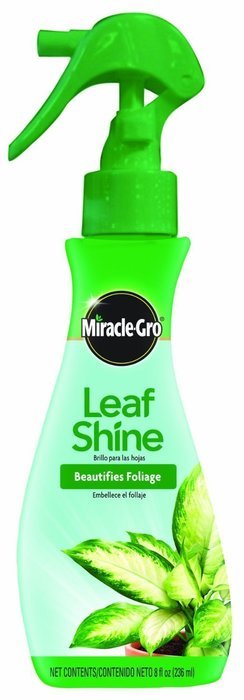 Miracle Gro Leaf Shine 8 Oz N5