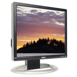 DELL 1703FPT 17" Flat Panel Color Monitor N2