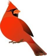 red Cardinal Bird Clip Art drawing