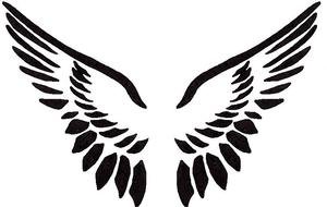 angel wings as a illustration