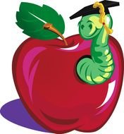 Teacher Apple Clip Art N4