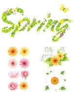 Spring Flowers as a graphic image