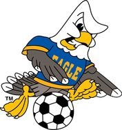 Bald Eagle Cartoon Soccer