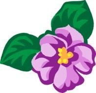 African Violet Clip Art