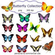 Colorful Butterfly Collection clipart