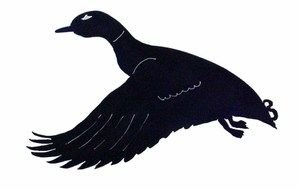 Ä°llustration of Flying Duck Silhouette