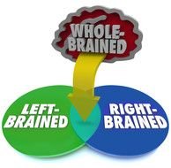 Left And Right Side Of Brain Clip Art
