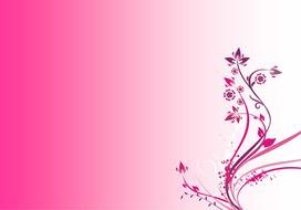 Light Pink background with floral line art