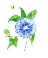 Small Flower Clip Art