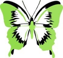 Green Butterfly Clip Art N5